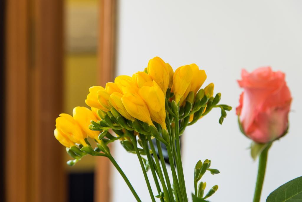 Guest House Park Valmontone Ngoại thất bức ảnh