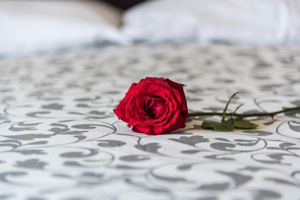 Guest House Park Valmontone Ngoại thất bức ảnh